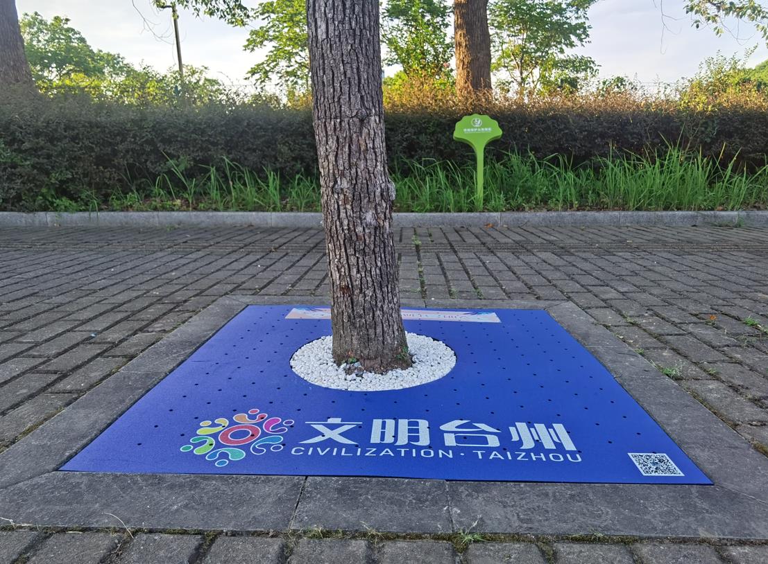 台州绿化树池垫施工案例(图3)